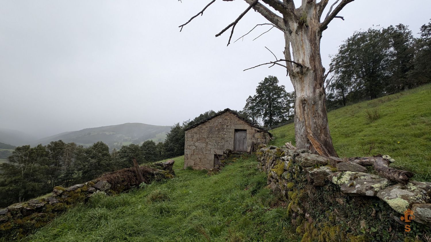 Vista exterior de Finca rústica en venda en San Pedro del Romeral