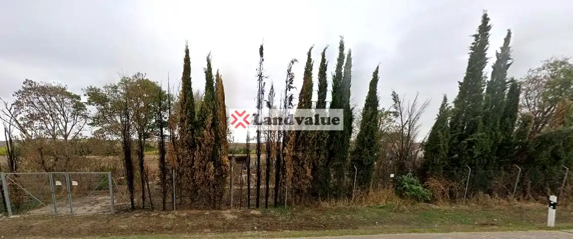 Terreno rustico in vendita a Polígono 25. Parcelas 32,34,76 y en C-404. La Marguilla, imagen 3