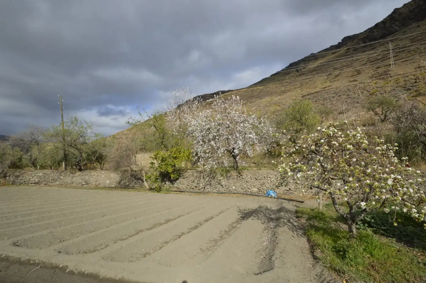 Finca rústica en venta en Gérgal