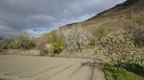 Photo 5 of Country house for sale in Gérgal, Almería