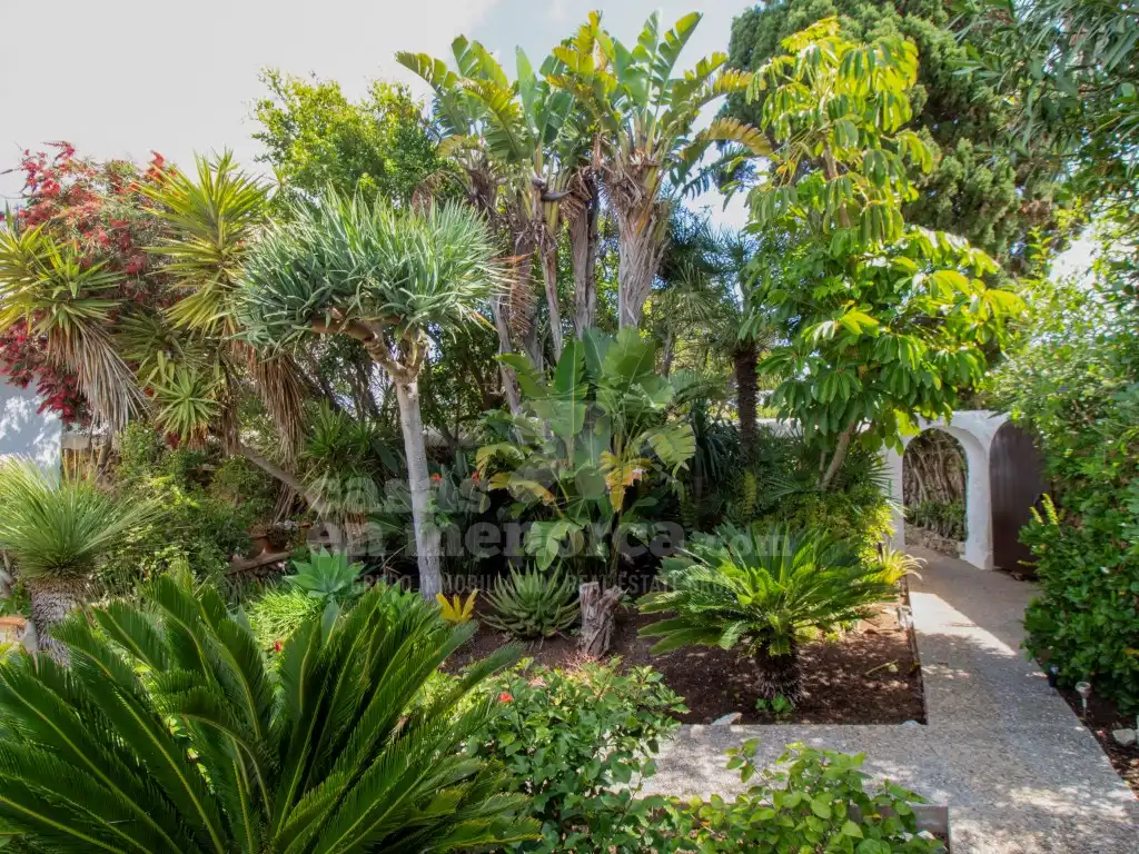 Jardí de Finca rústica en venda en Sant Lluís amb Aire condicionat, Calefacció i Jardí privat