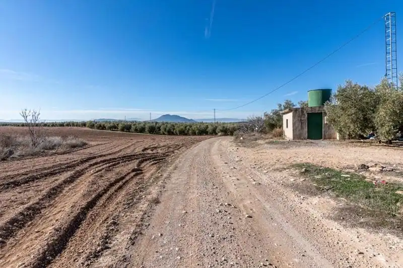 Terreni e lotti in vendita a PAGO CORTIJO DE LAS MONJAS POLIGONO 1 PARCELA 193, imagen 8