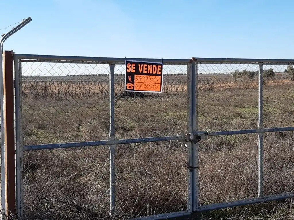 Terreno en venta en Arenas de San Juan 