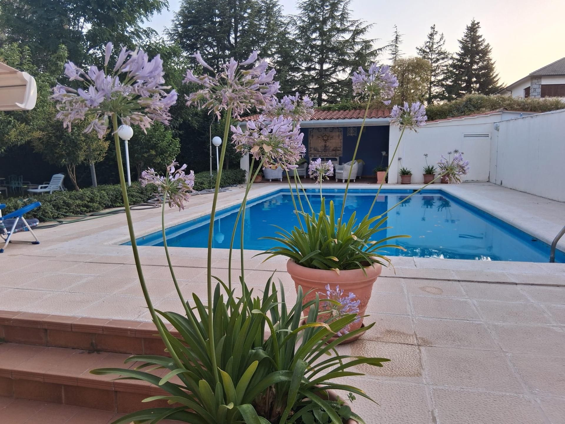 Swimming pool of House or chalet for sale in Galindo y Perahuy  with Heating, Private garden and Storage room