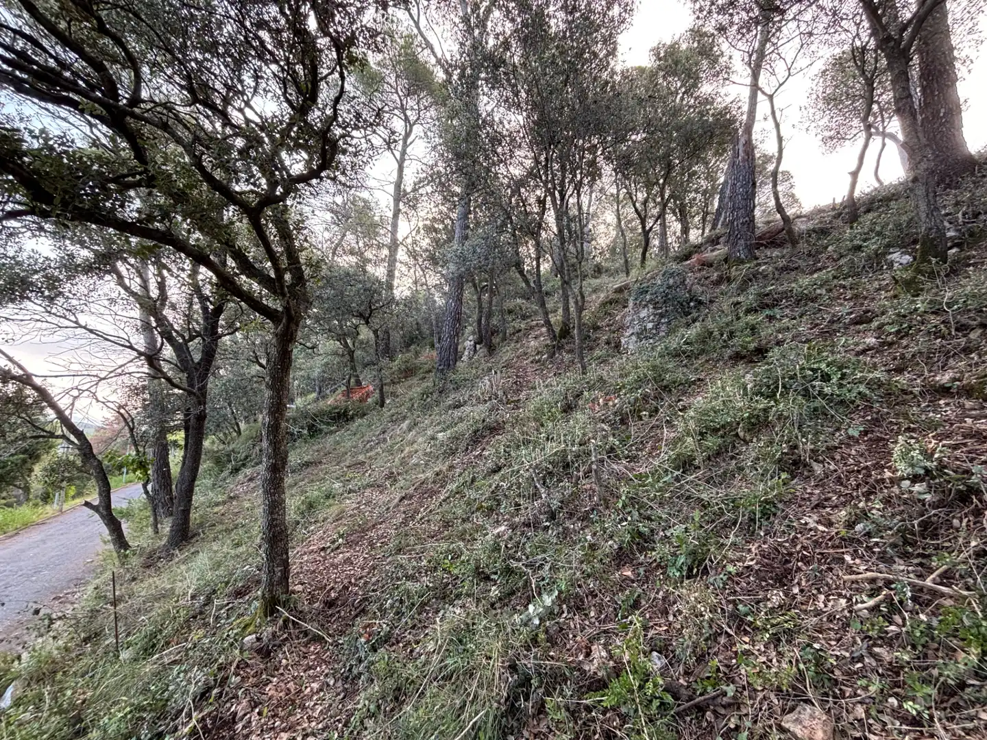 Residential land for sale in Carrer Pasarell, imagen 26