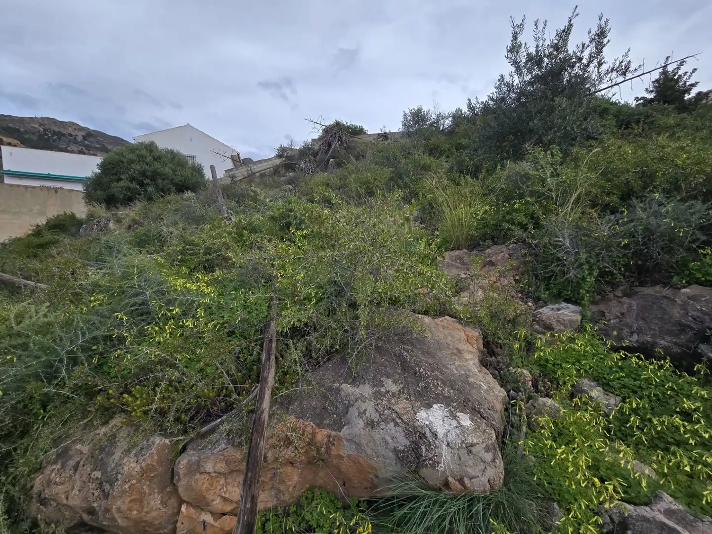 Lands and plots for sale in Vélez de Benaudalla, imagen 15