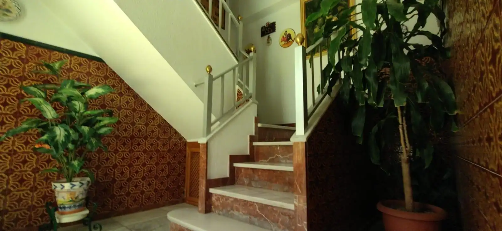Casa con terraza en venta en Crevillet - Pinar Alto, imagen 3