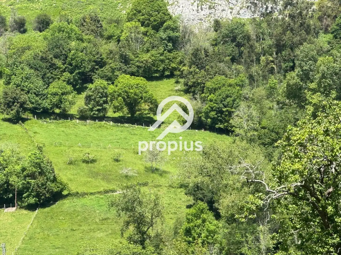 Rural land for sale in ARRIONDAS, imagen 15