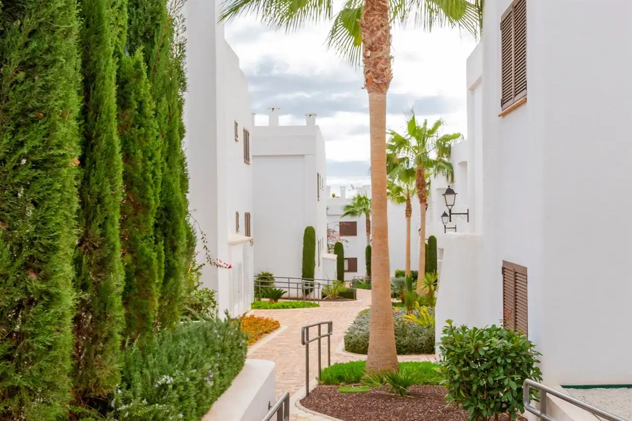 Apartamento con piscina en venta en San Juan de los Terreros, imagen 27