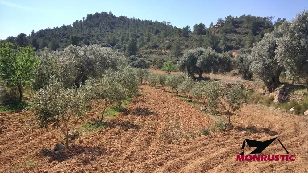 Terrain rustique à vendre à Riba-roja d'Ebre, imagen 6
