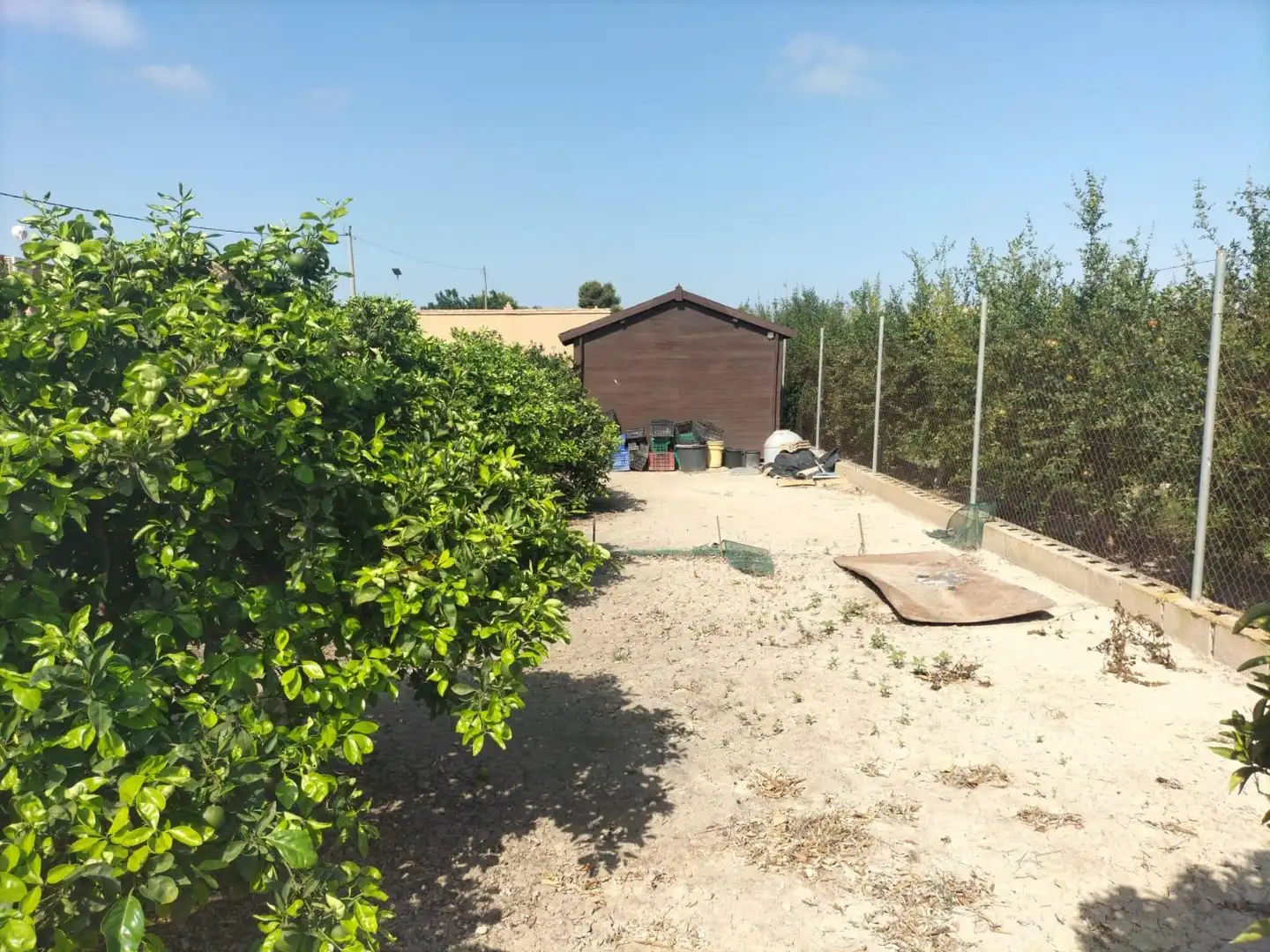Xalet amb piscina en venda a Formentera del Segura, imagen 30