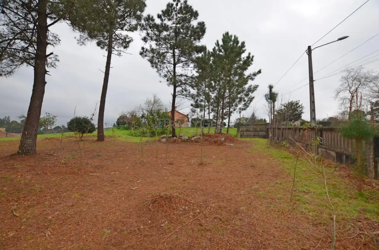 Residential land for sale in SAN BENITO, imagen 20