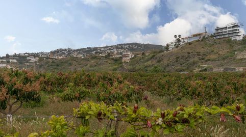 Foto 5 de Residencial en venta en Carretera Malaga (cal), 74, La Caleta - La Guardia, Salobreña