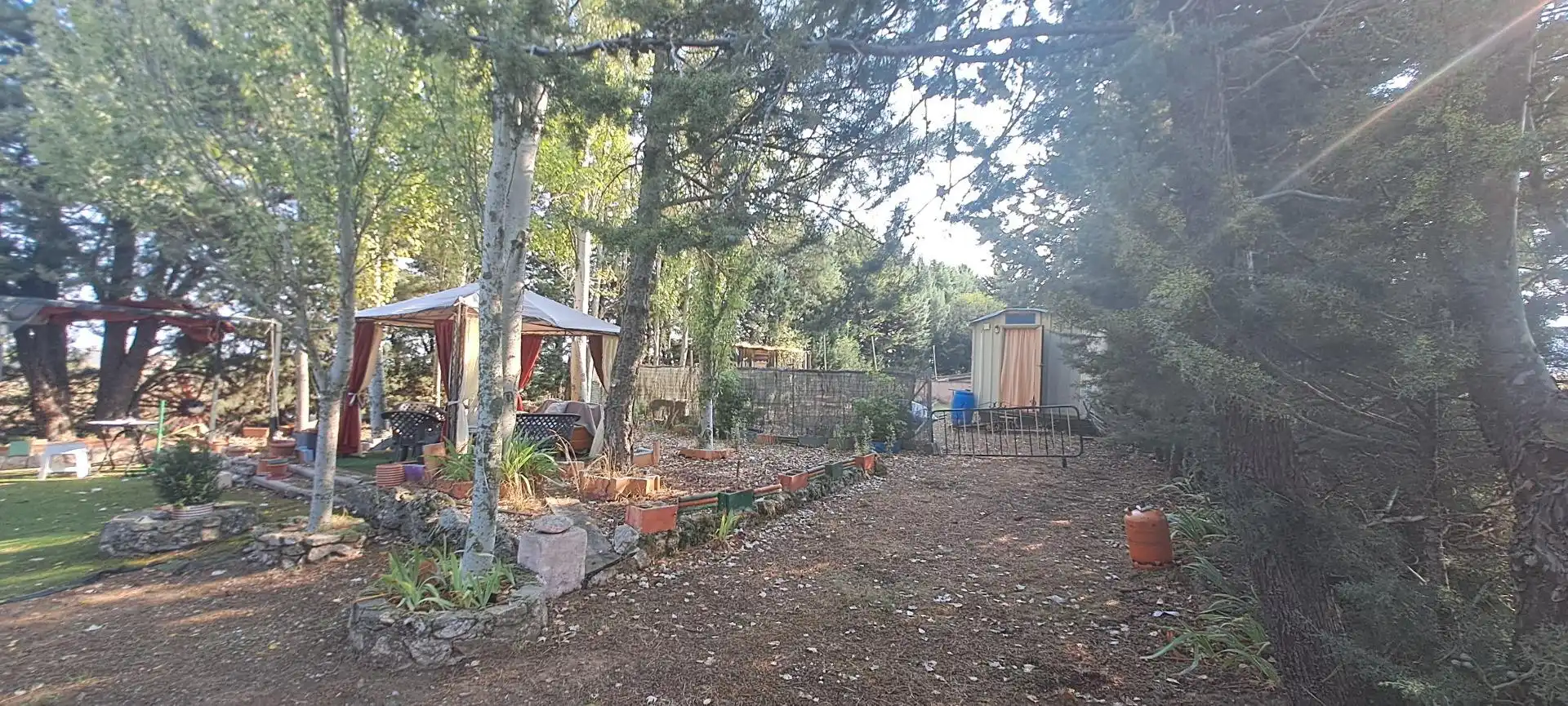 Jardí de Finca rústica en venda en Arcones amb Jardí privat