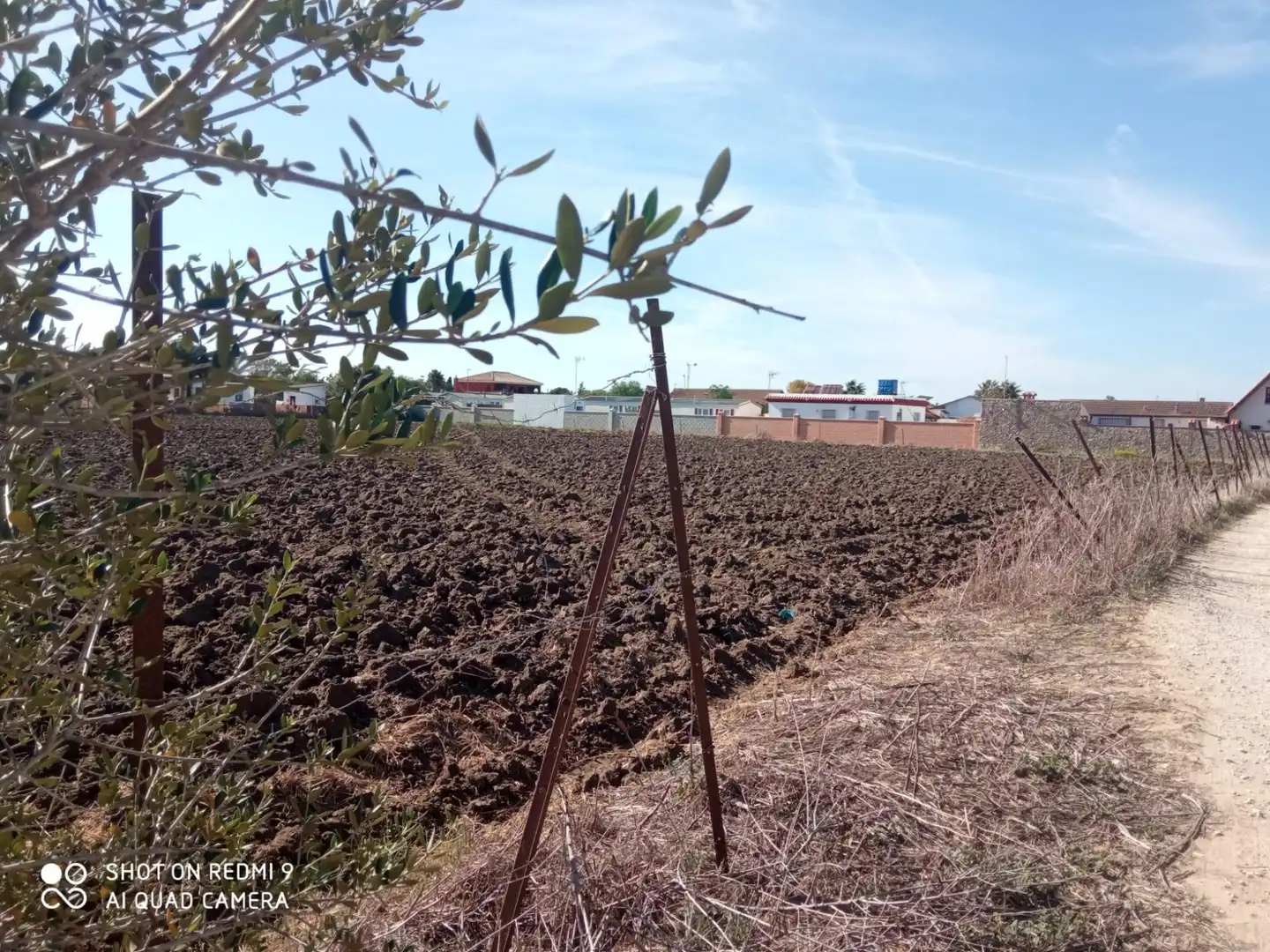 Terreni e lotti in vendita a Vejer, imagen 14