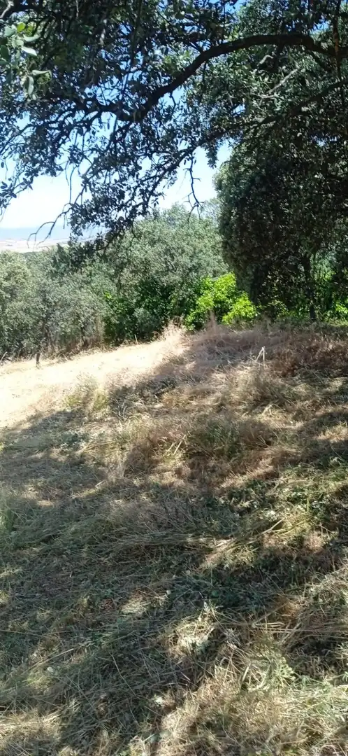Terreno residenziale in vendita a Avenida el Casar, imagen 2