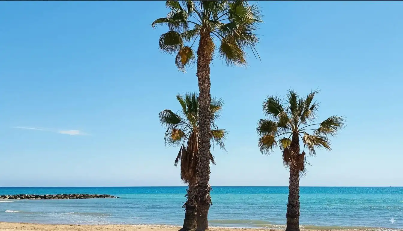Apartment zum Verkauf in La Torre - Playa de Chilches, imagen 8