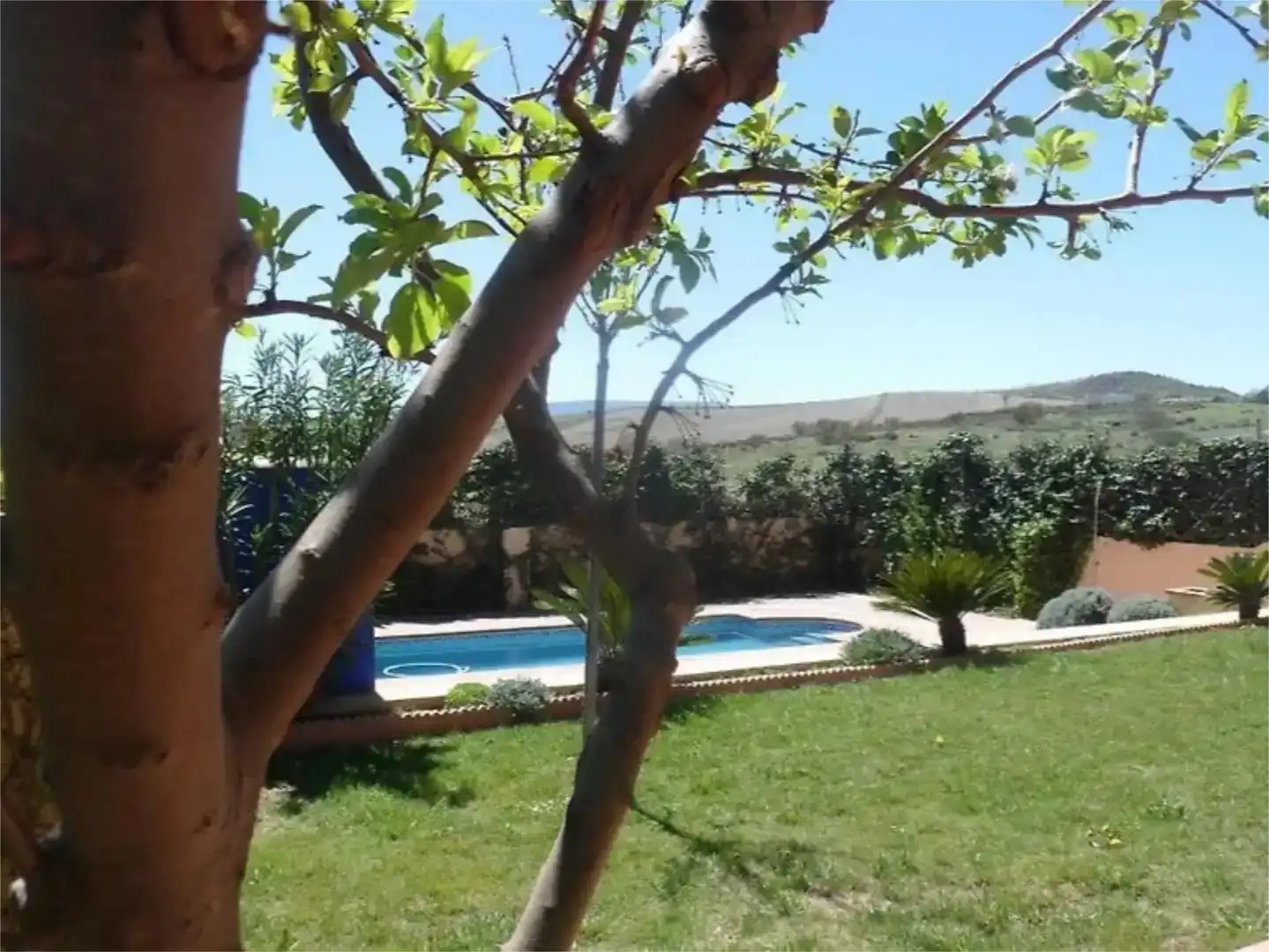 Piscina de Casa o chalet de alquiler en Urbanizaciones