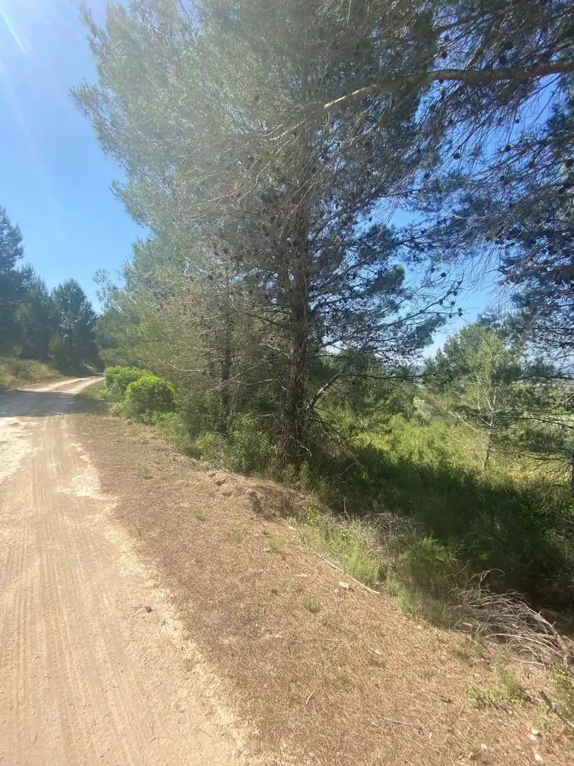 Terreno rustico in vendita a POLÍGONO 10 PARCELA 493, imagen 25