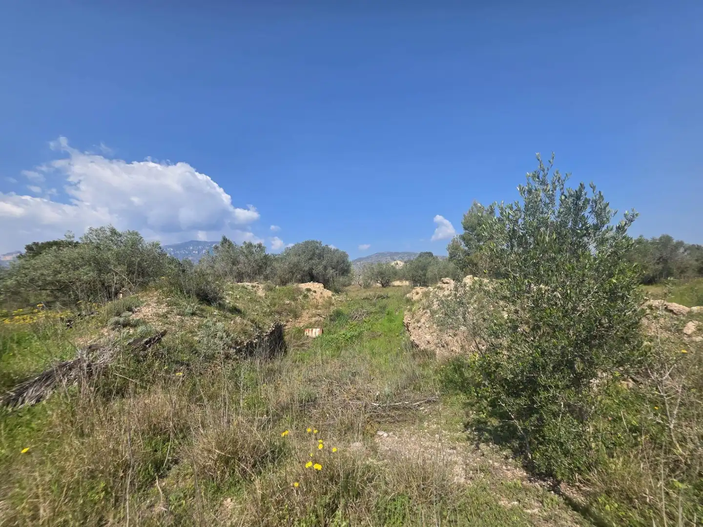 Terreno rustico in vendita a del Polígon Industrial 'La Ravaleta', imagen 7