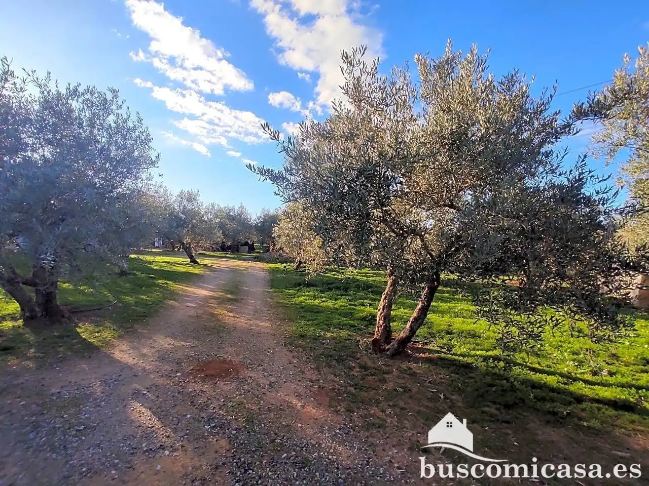 Casa amb jardí en venda a San Roque - La Cruz - La Rozuela, imagen 35
