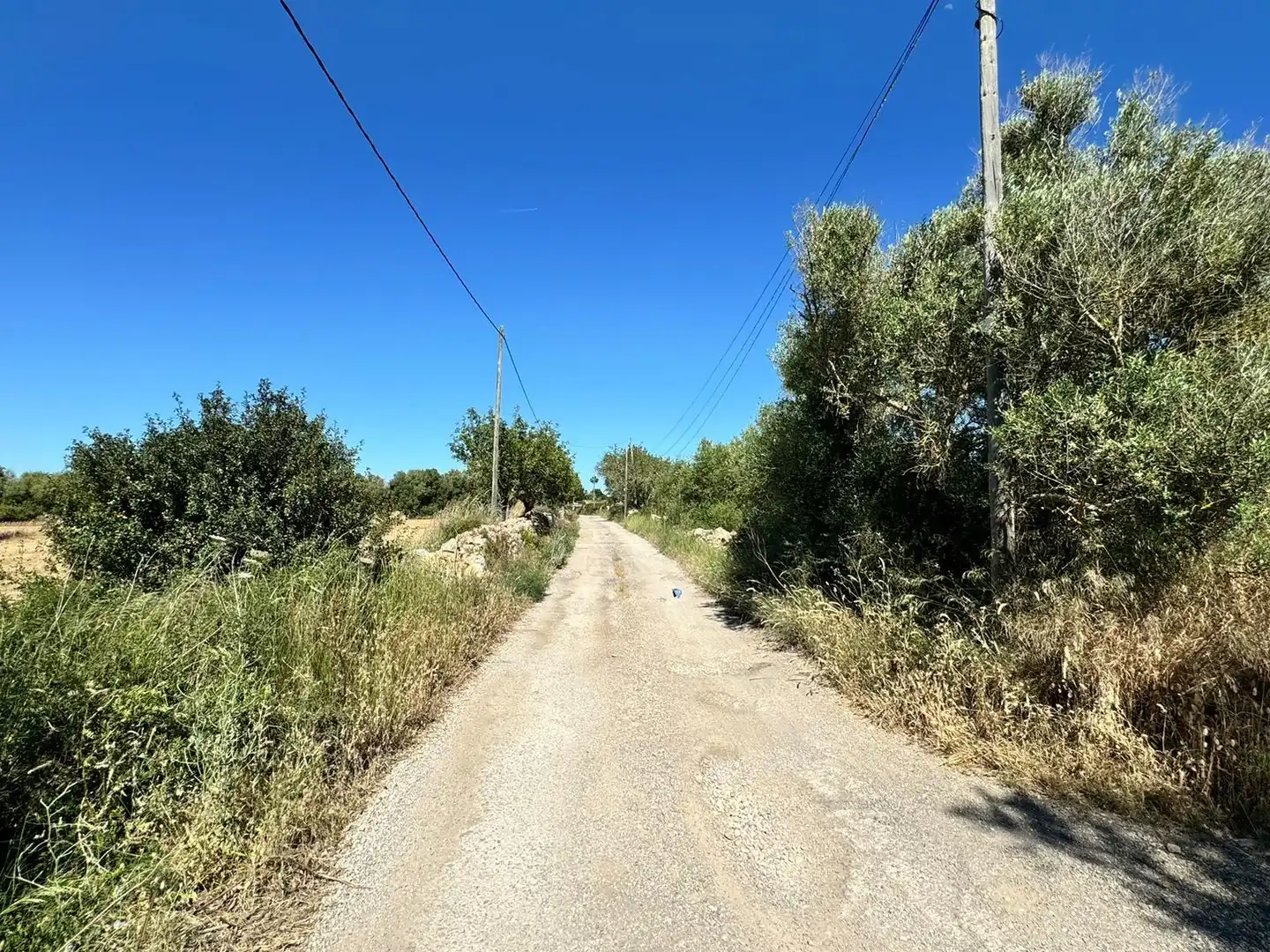 Grundstücke zum Verkauf in Algaida