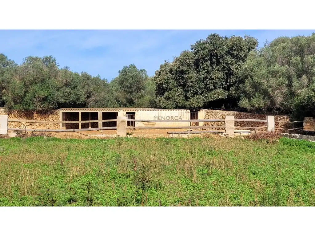 Finca rústica en venta en Es Castell
