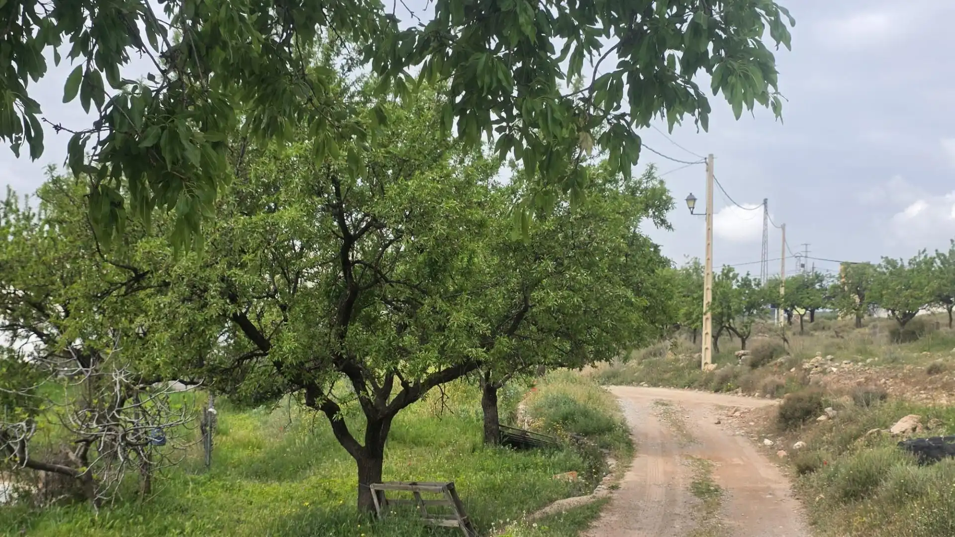 Country homes for sale in Laujar de Andarax