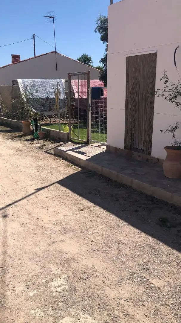 Jardí de Casa adosada de lloguer en Murcia amb Jardí privat, Moblat i Forn