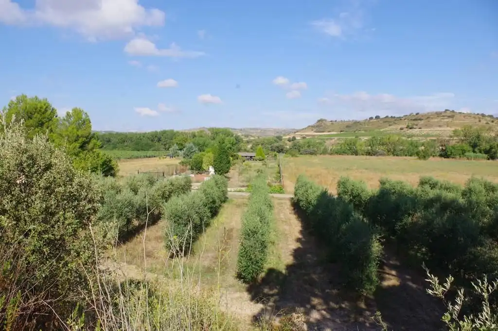 Wohnbaugrundstück zum Verkauf in El Cortijo, imagen 8