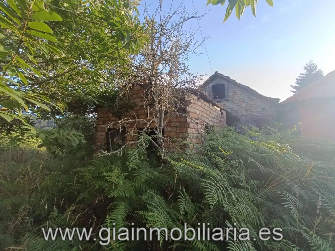 Casa en venta en Calle Ceo, imagen 4