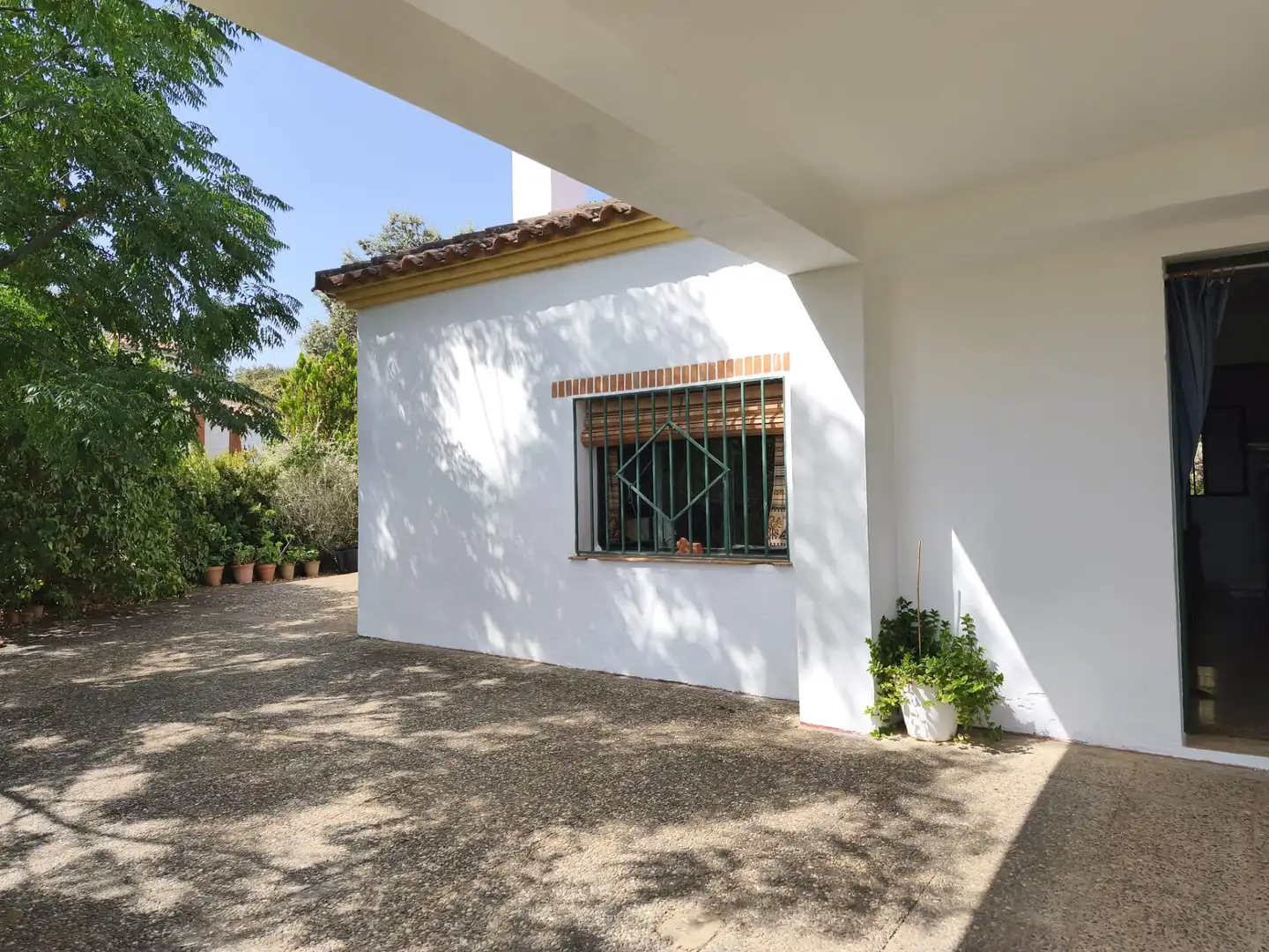 Casa rústica amb jardí en venda a Cazalla de la Sierra, imagen 33