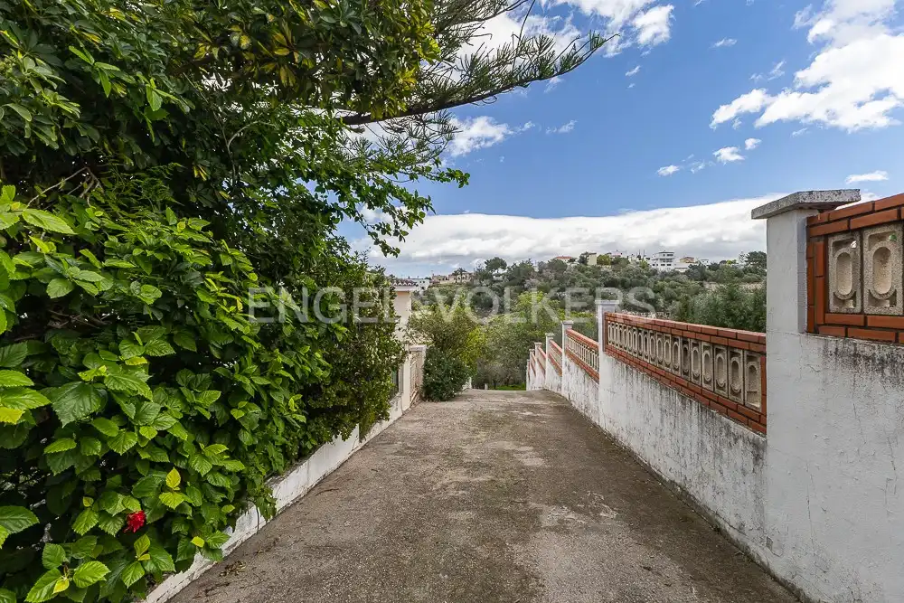Vista exterior de Casa o chalet en venta en Alzira con Aire acondicionado, Calefacción y Jardín privado