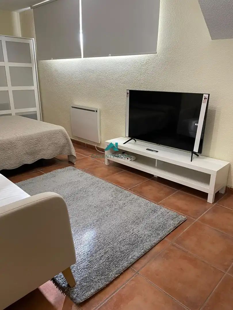 Living room of Study for rent in Villaviciosa de Odón