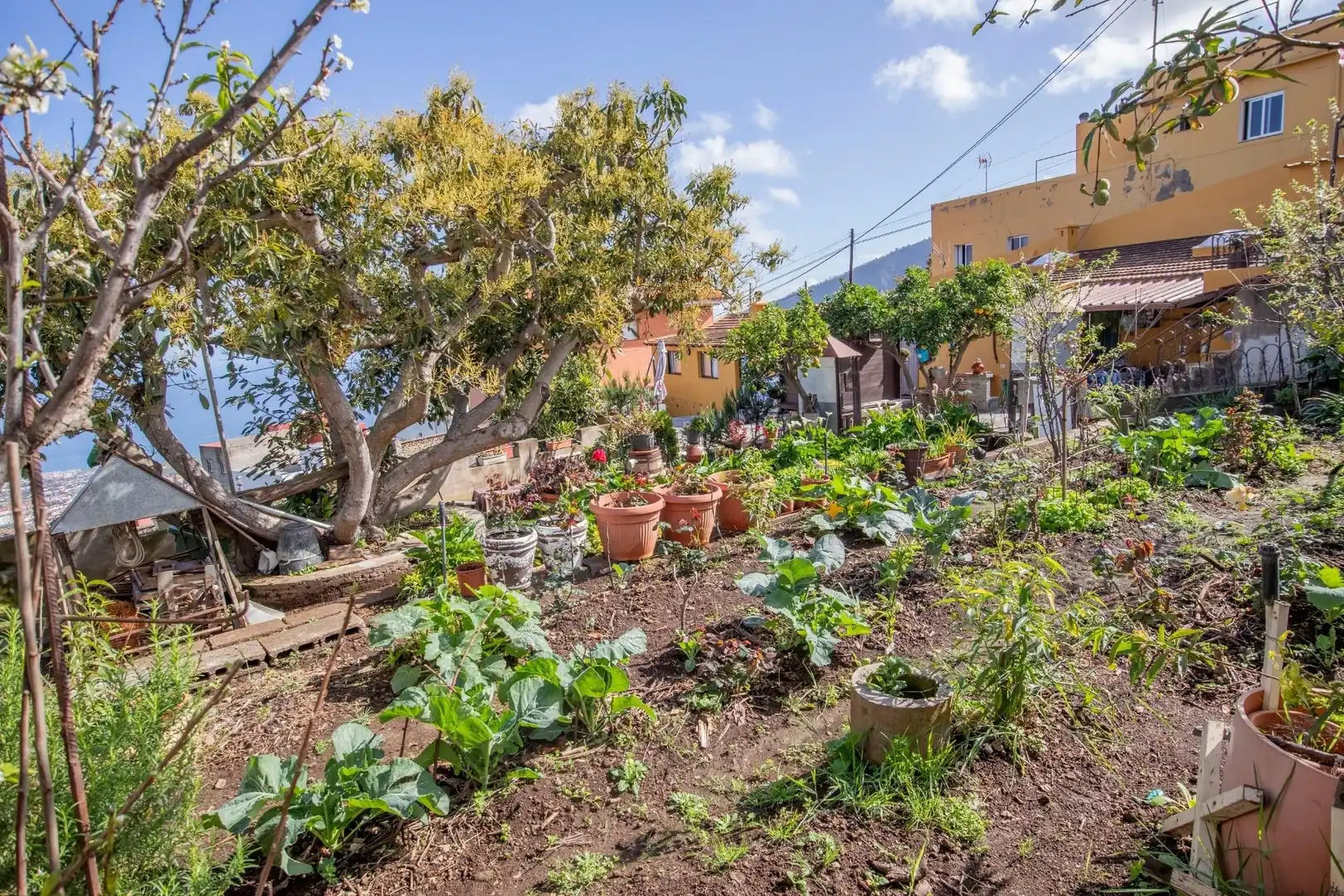 Jardí de Casa adosada en venda en La Orotava