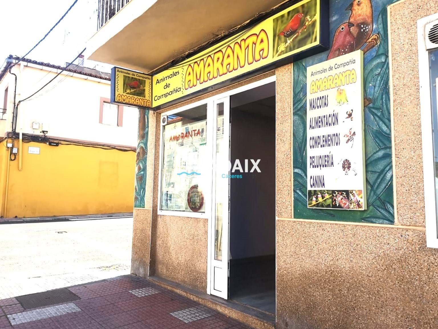 Local en venta en Cáceres Capital