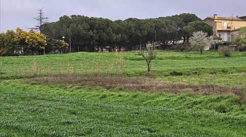 Imatge 5 de l'anunci