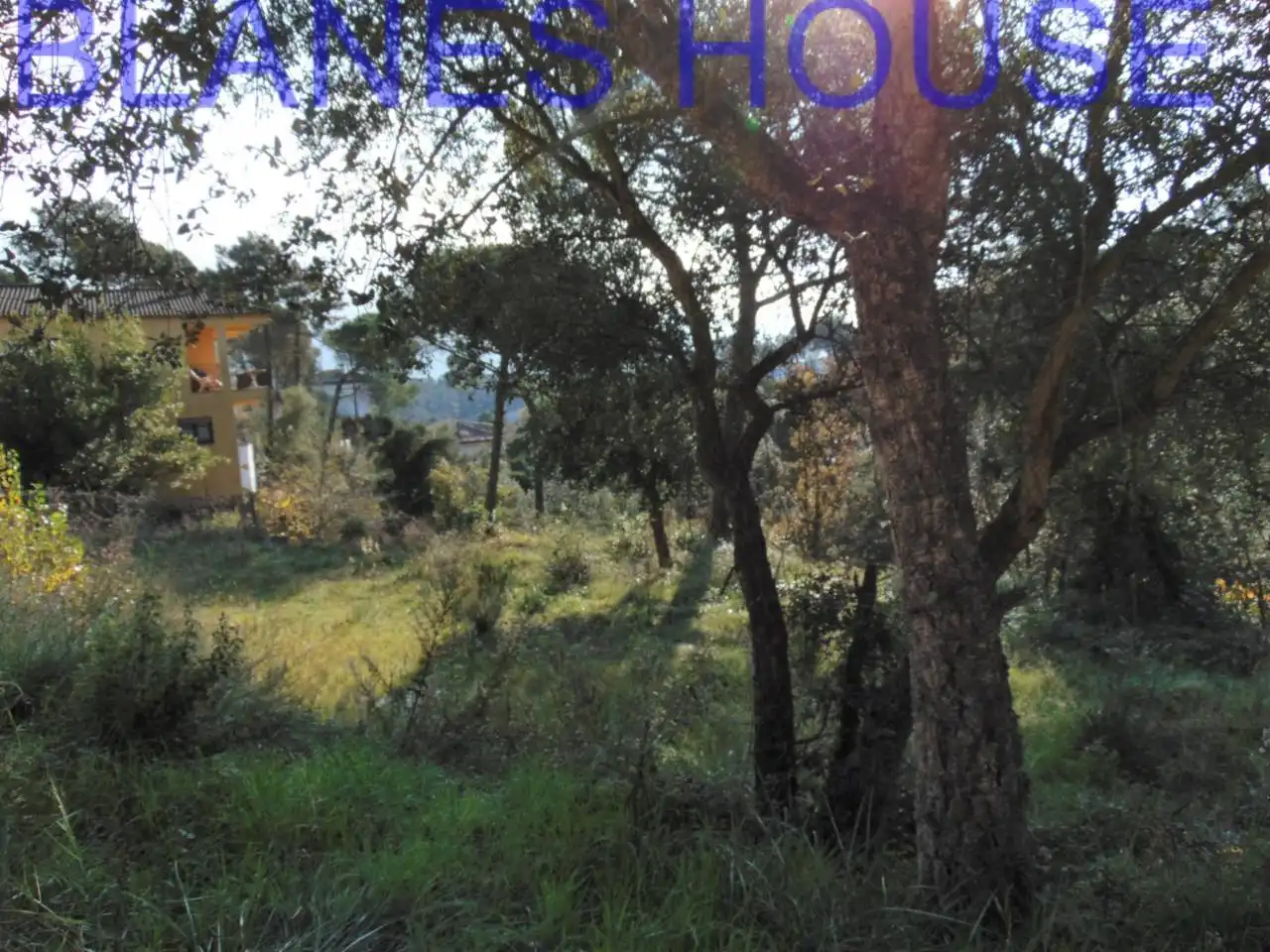 Terreno residencial en venta en Calle Madaleta, imagen 5
