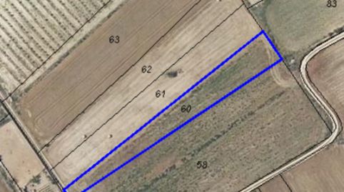 Photo 3 of Land for sale in Algaida, Illes Balears