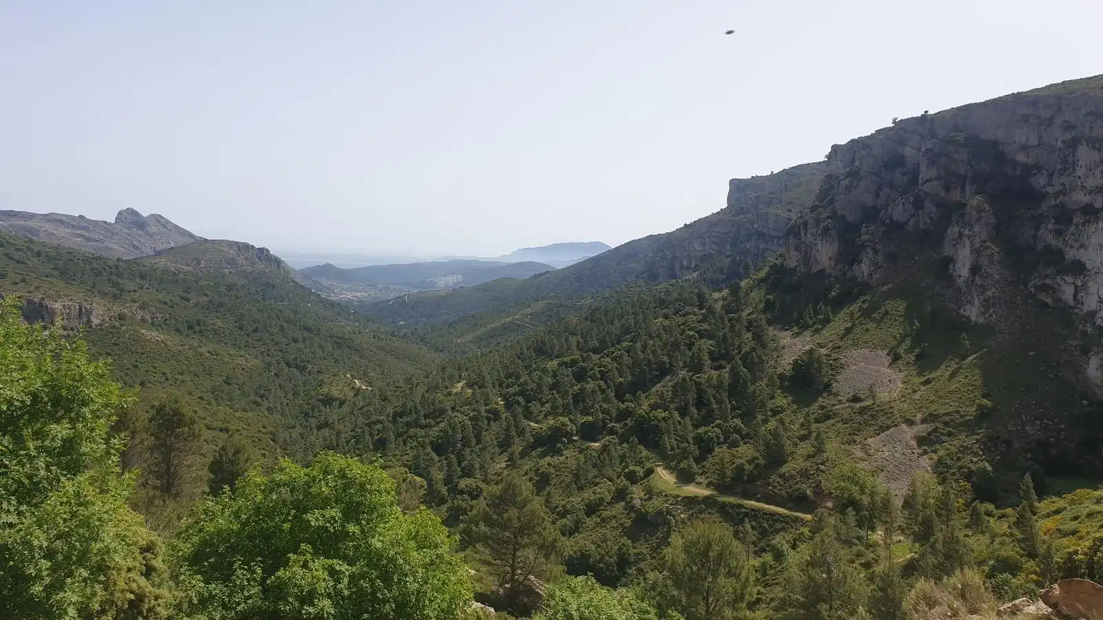 Land for sale in Benigembla