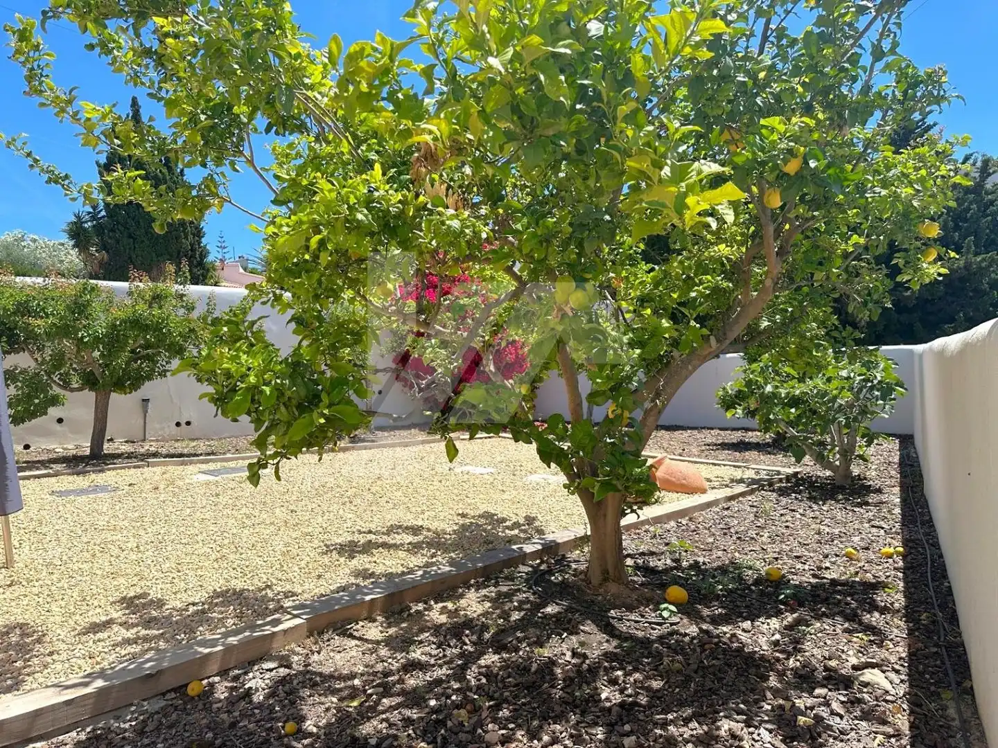Villa con terrazza in vendita a Cala Advocat - Baladrar, imagen 47