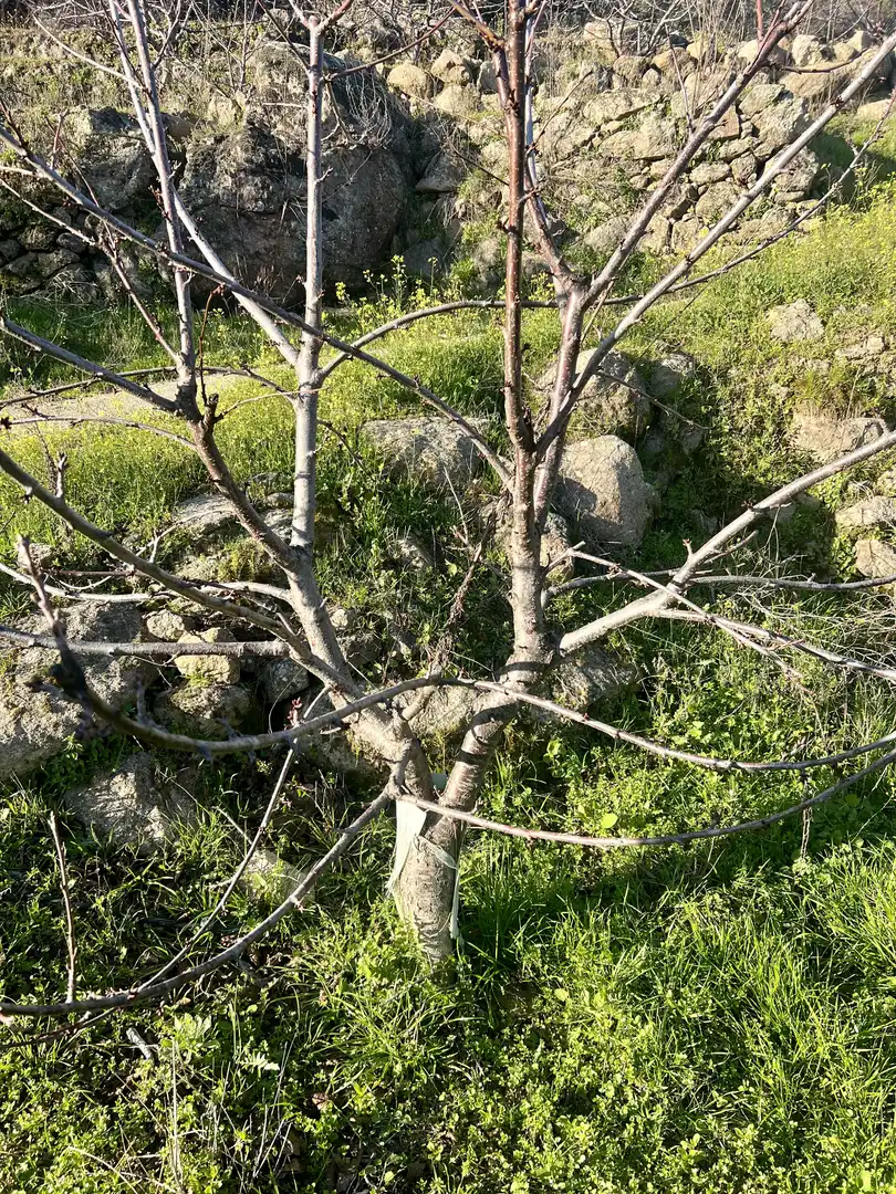 Terreni e lotti in vendita a El Torno, imagen 6