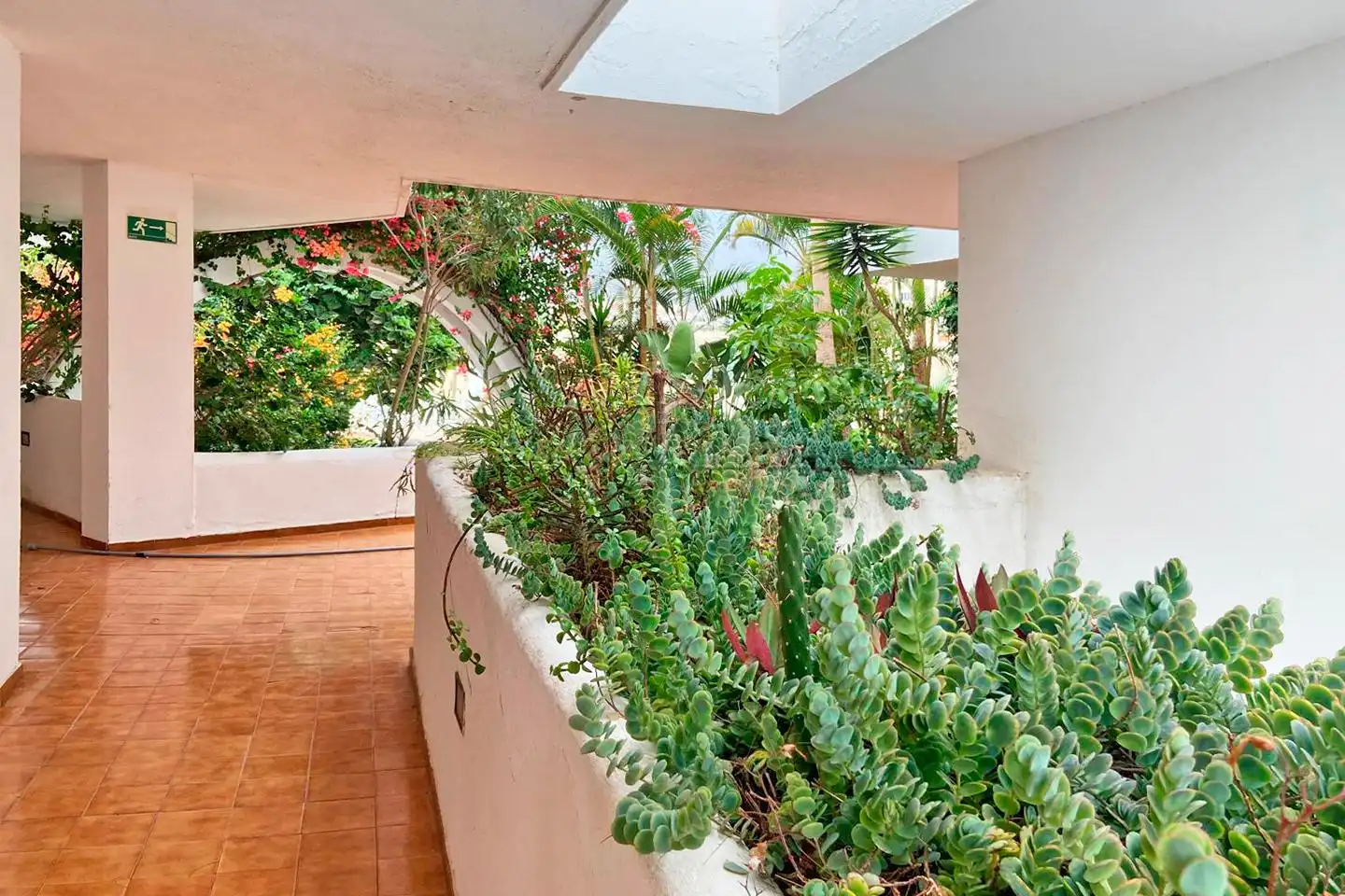 Apartament amb piscina en venda a Avenida Ernesto Sarti, imagen 11