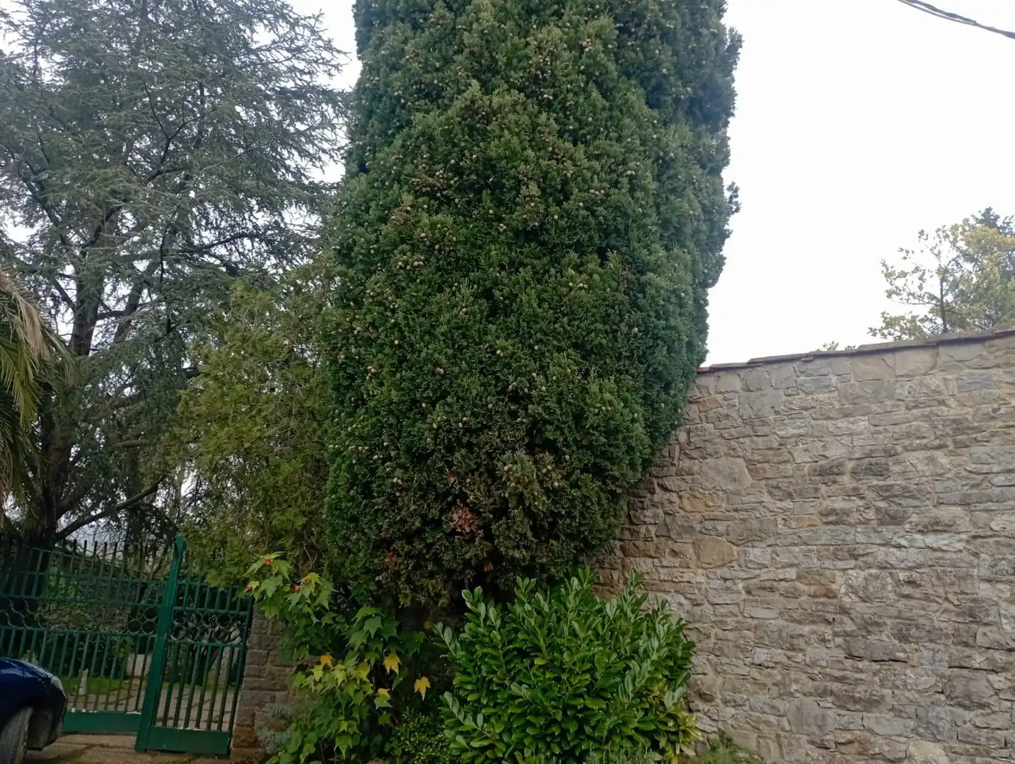 Garten von Country house zum Verkauf in Gijón  mit Klimaanlage, Privatgarten und Terrasse