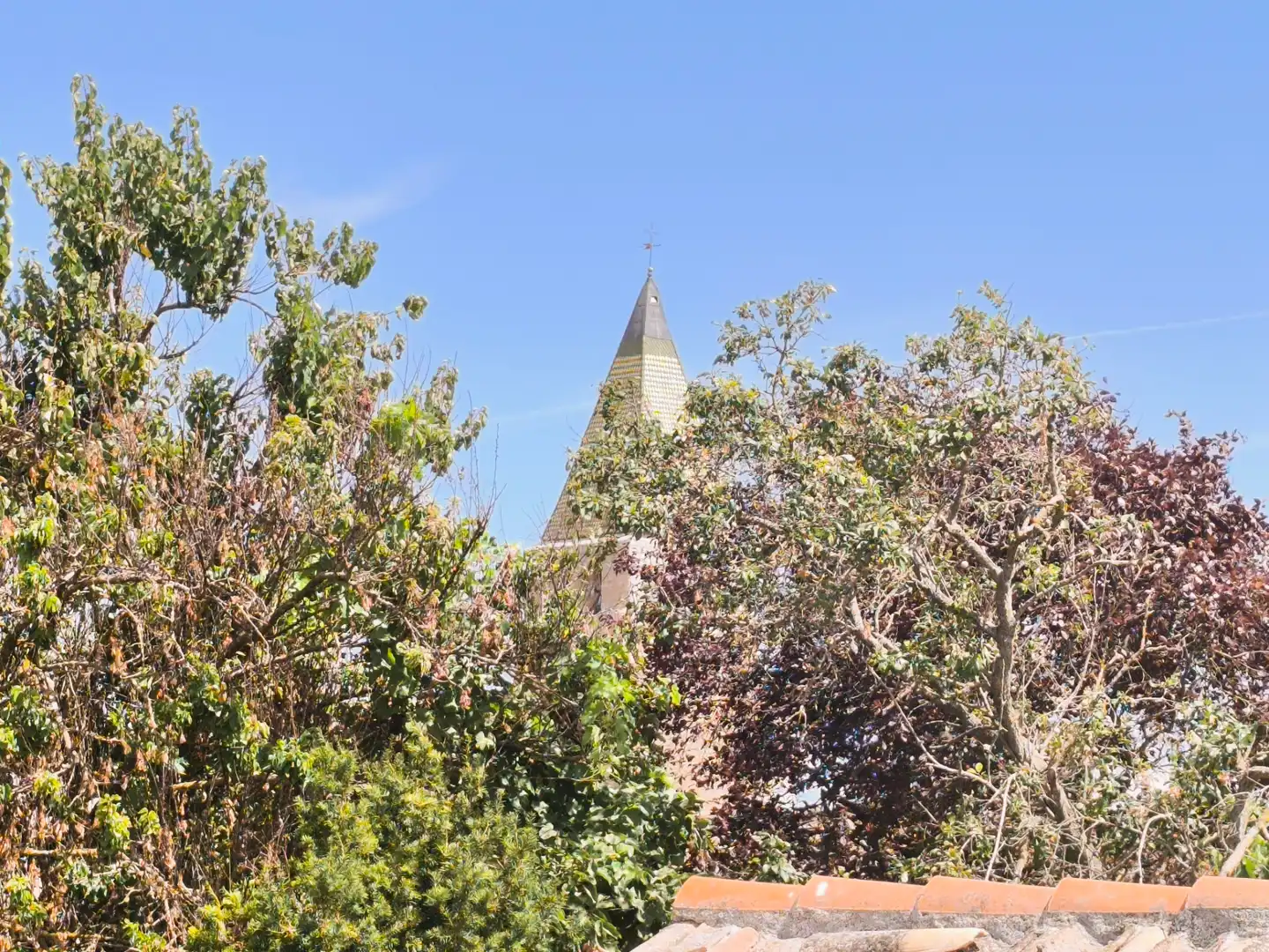 Vista exterior de Casa o chalet en venta en Castromocho con Jardín privado y Trastero