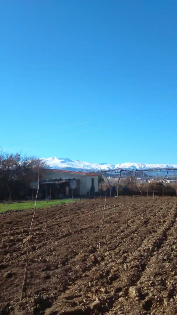 Chalet con piscina en venta en Calle el Jurel 1, imagen 37