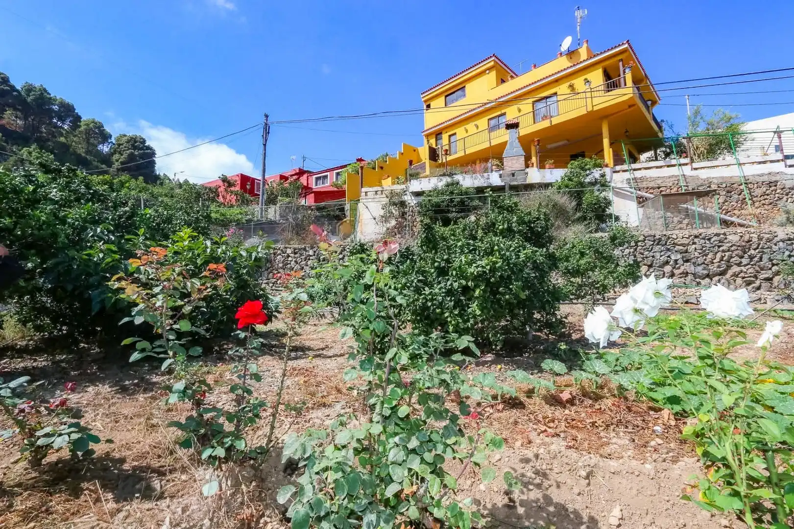 Finca rústica en venda en Icod de los Vinos amb Terrassa