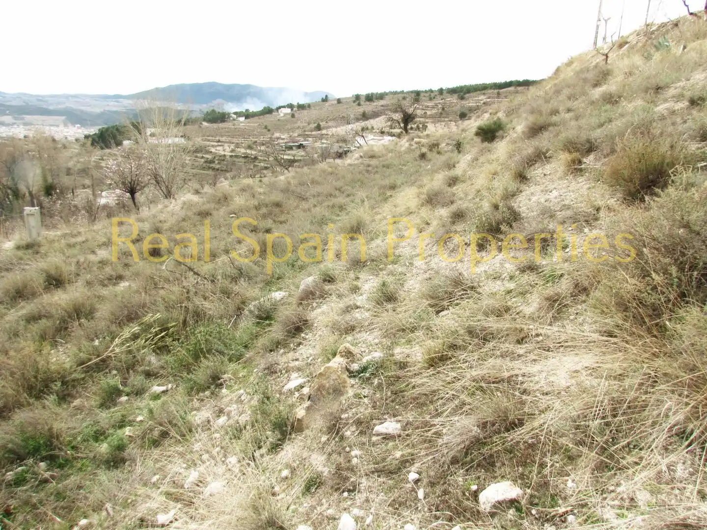 Terrenos y solares en venta en Vélez-Blanco, imagen 5