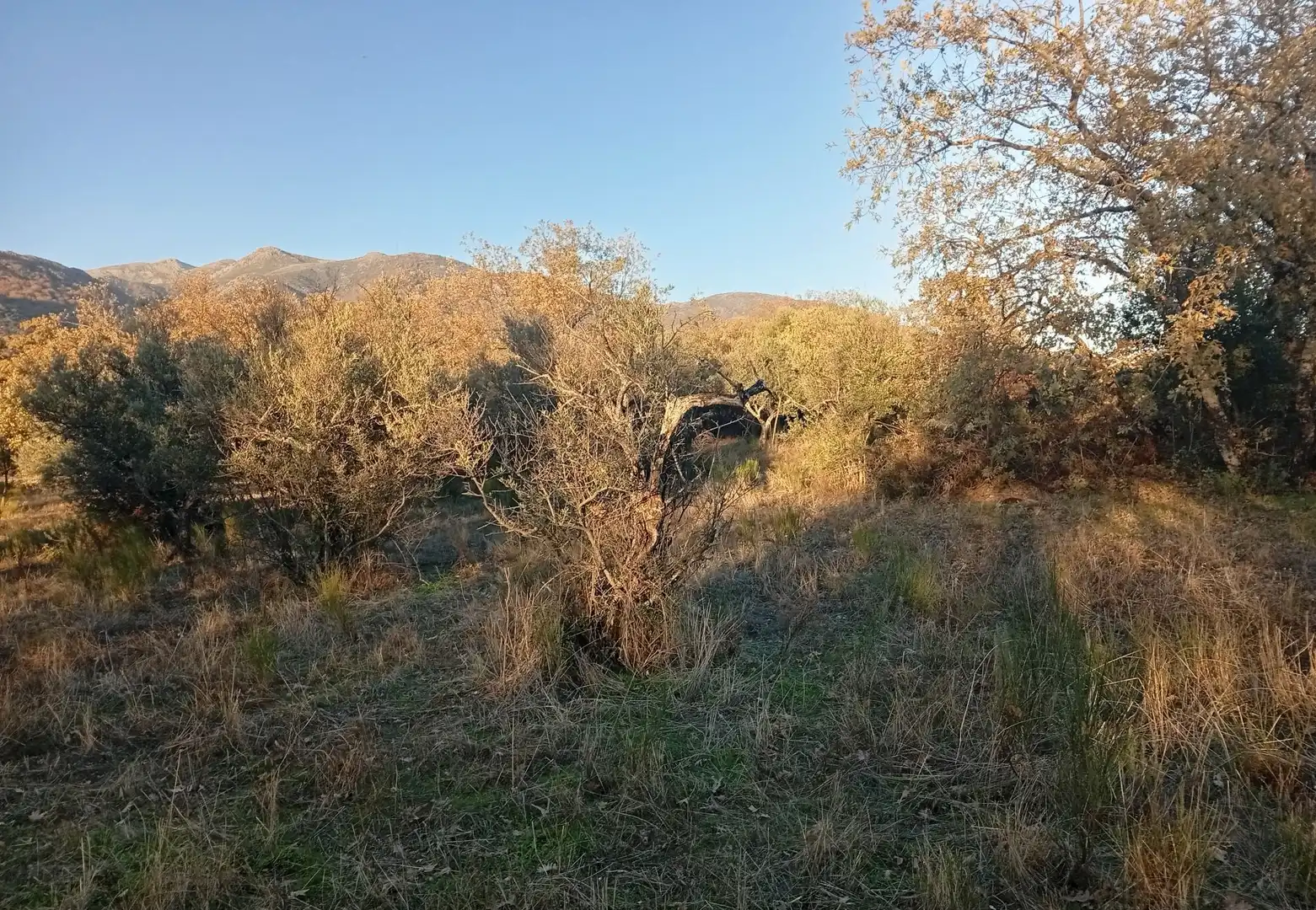 Terreni e lotti in vendita a Viandar de la Vera, imagen 23