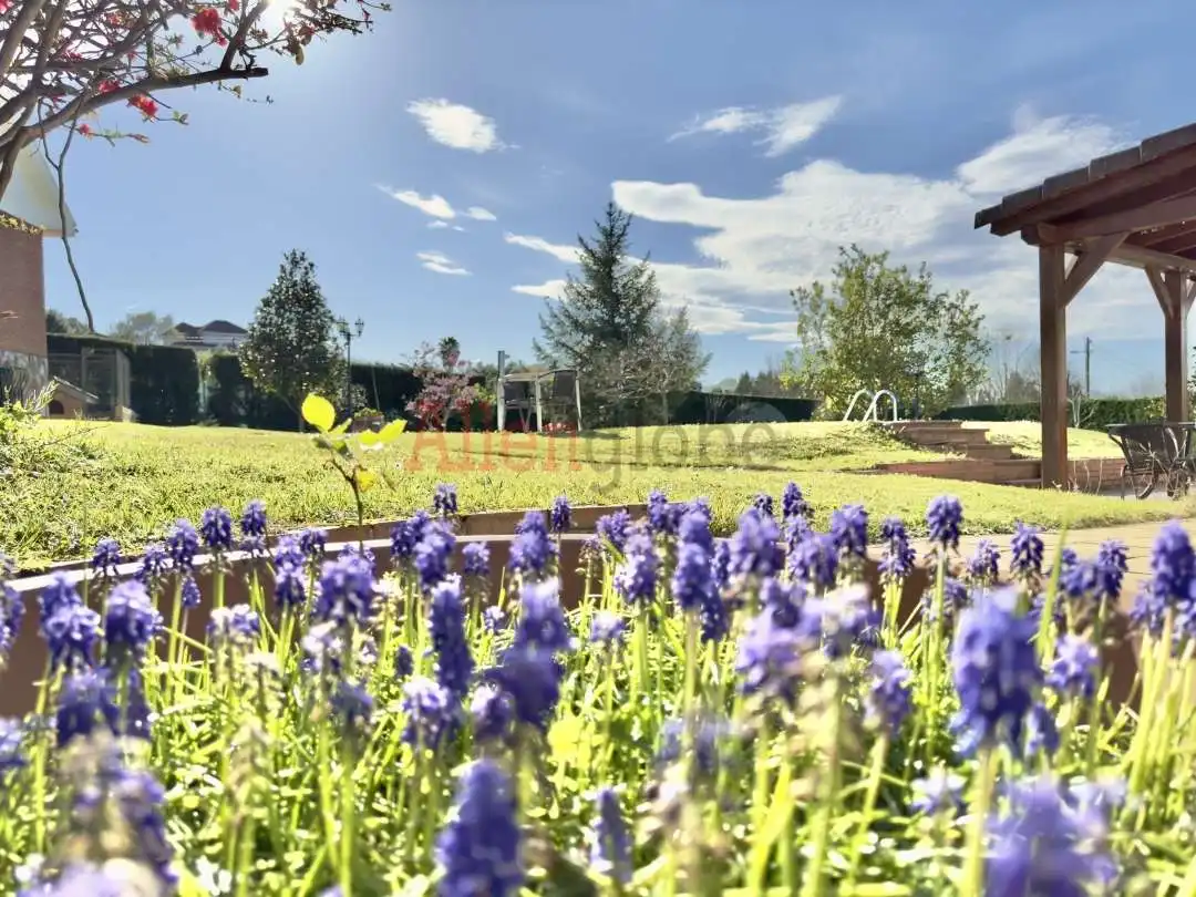 Villa in vendita a La Carrera - Piedramuelle, imagen 22